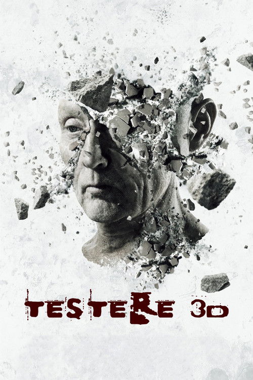 Testere 3D